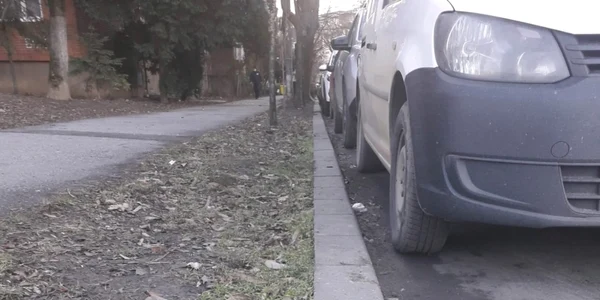 Garda de mediu Timiş