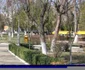 calarasi parc