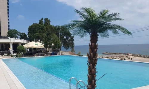 borcea piscina JPG
