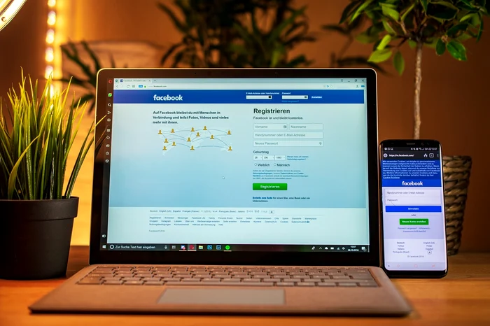 laptop, telefon, facebook, ghiveci, plante