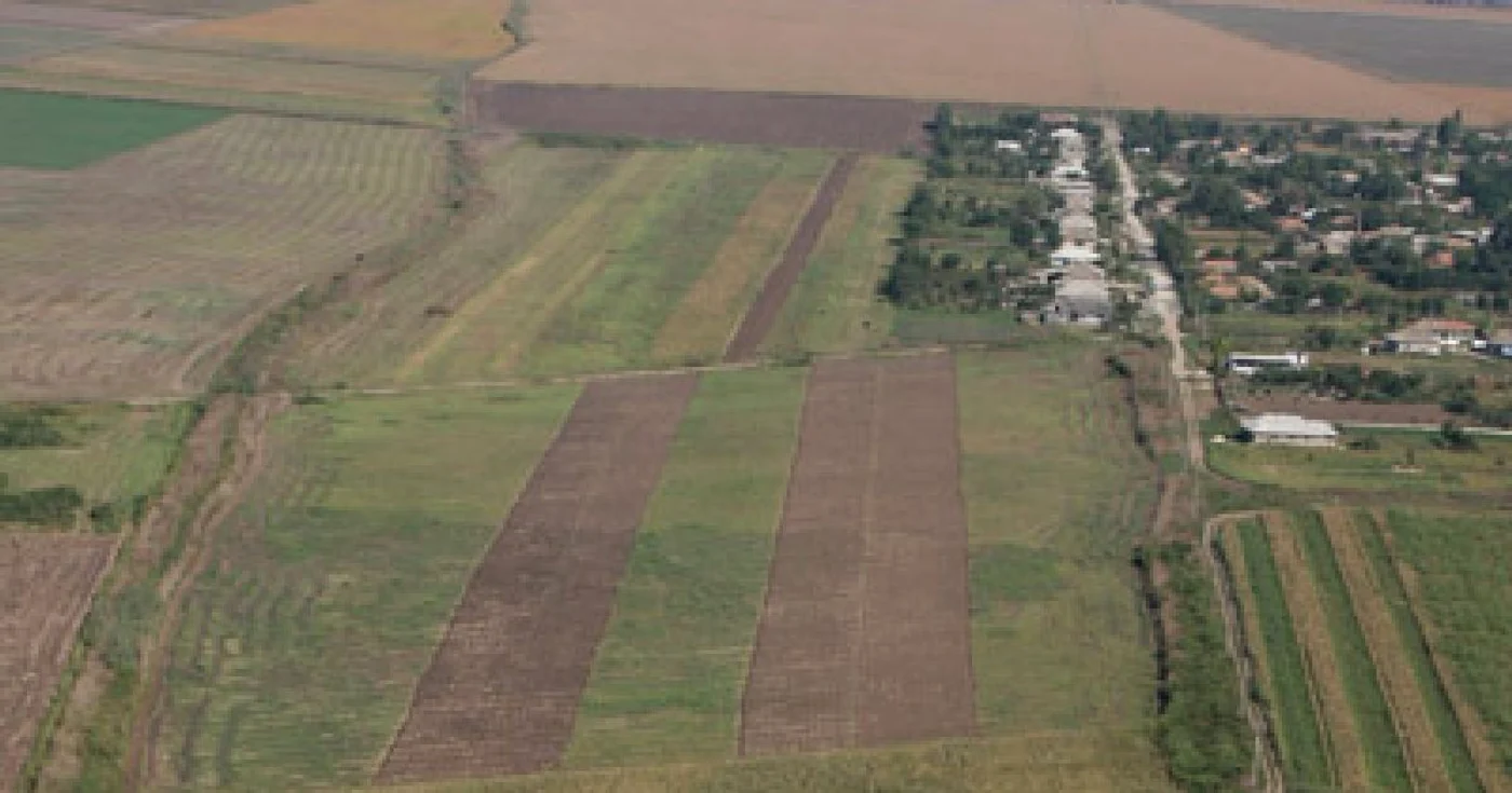 Arhiva Fermierii vor încasa un avans din subvenţia pe suprafaţă 
