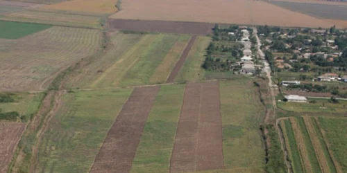 Arhiva Fermierii vor încasa un avans din subvenţia pe suprafaţă