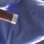 Medical lab technician holding sample blood webp