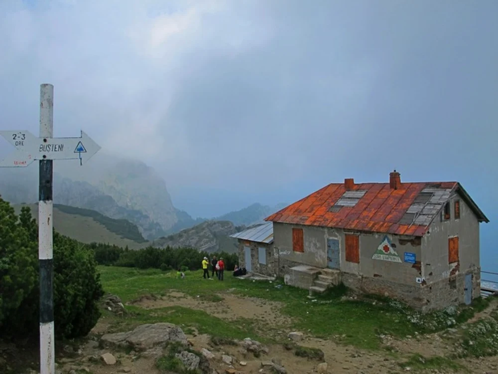 jepimarimici8