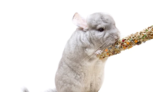 1 sinsila 1599893017 jpg jpeg