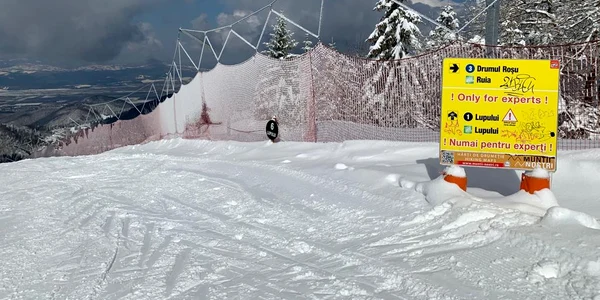 Poiana BV jpeg