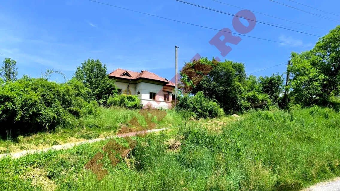 Cum arată, de fapt, casa părăsită în care au locuit Călin Georgescu și soția sa, Cristela / foto: Fanatik.ro