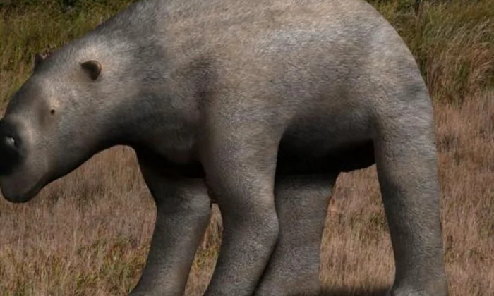 Omul, responsabil de extincţia megafaunei australiene? jpeg