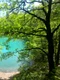 Lacul Albastru  Foto Primăria Baia Sprie jpg