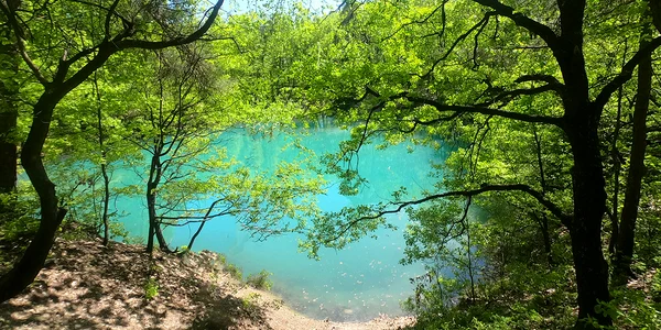 Lacul Albastru  Foto Primăria Baia Sprie jpg