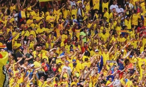 România suporteri  Foto Facebook jpg