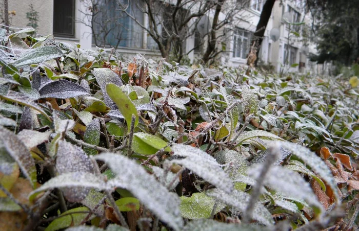 Vin două zile cu temperaturi deosebit de scăzute FOTO Adevărul