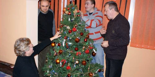 Arădenii vor avea în aceast an un brad importat 