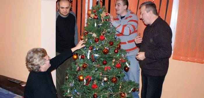 Arădenii vor avea în aceast an un brad importat 