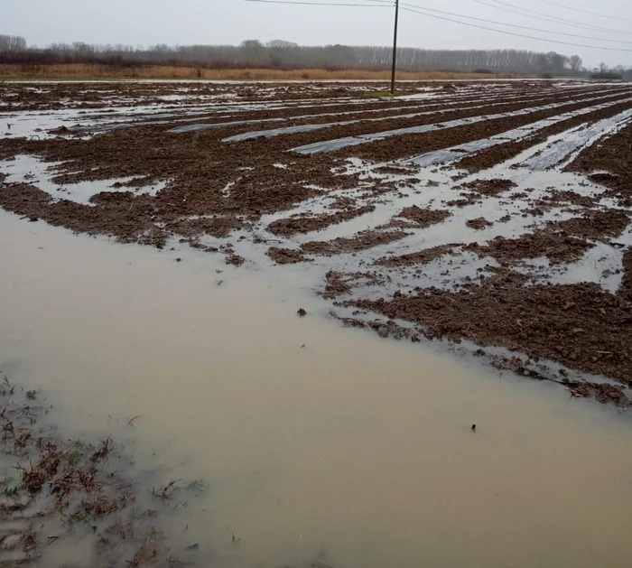 Pe câteva hectare de teren arabil din Pleşoiu apa bălteşte FOTO: ISU Olt