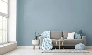 culori perete shutter1 jpeg