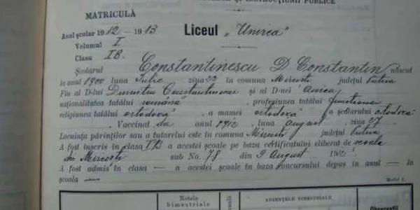 constantinescu mircesti