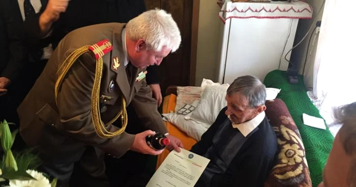veteran drasov alba