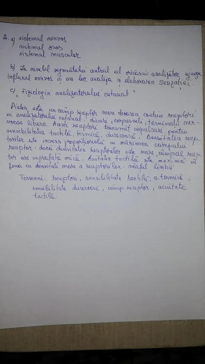 rezolvare anatomie 3