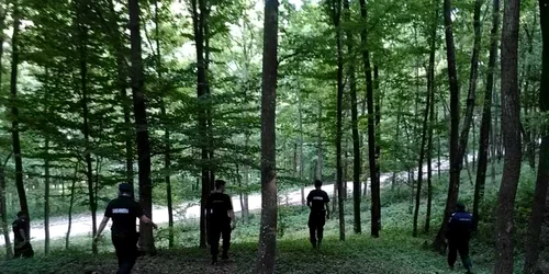 disparut razvad