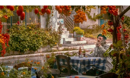 Amenajarea unei gradini cu legume De la solutie prietenoasa cu mediul la business inteligent jpg