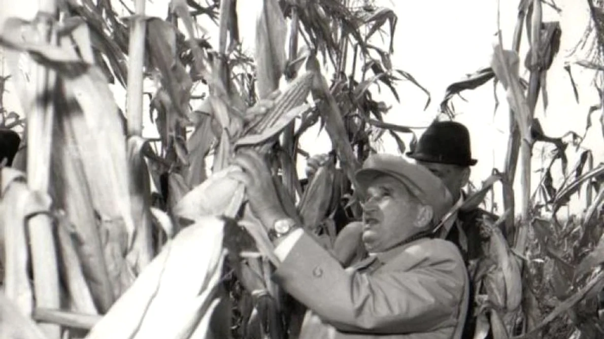 Neglijarea agriculturii în perioada comunistă jpeg
