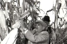 Neglijarea agriculturii în perioada comunistă jpeg
