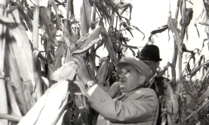 Neglijarea agriculturii în perioada comunistă jpeg