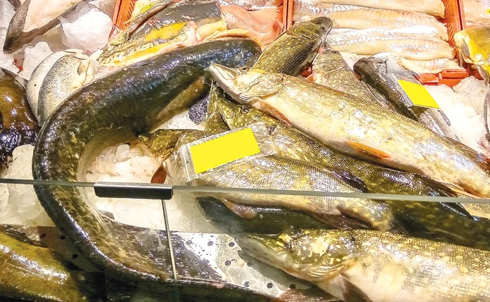 
    Procurorul Teodor Niţă   