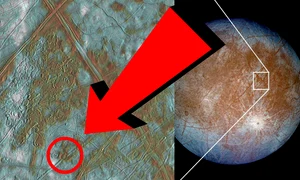 poza incercuita jpeg