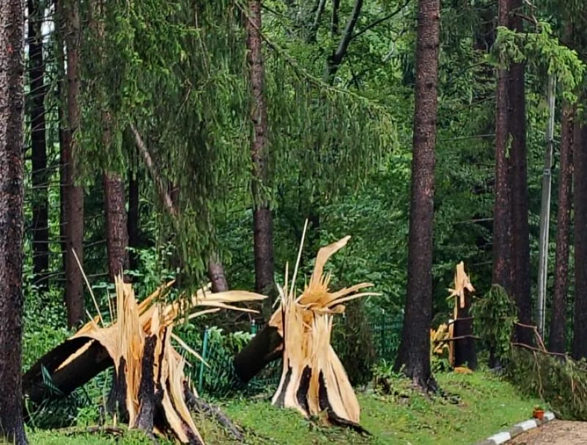 Impactul fenomenelor meteorologice severe asupra patrimoniului din Sinaia (© Ministerul Culturii)