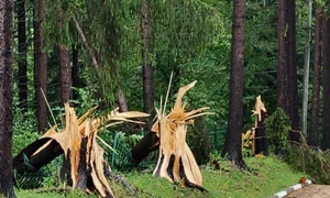Impactul fenomenelor meteorologice severe asupra patrimoniului din Sinaia (© Ministerul Culturii)