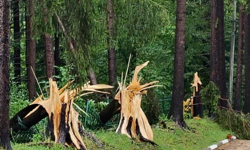 Impactul fenomenelor meteorologice severe asupra patrimoniului din Sinaia (© Ministerul Culturii)