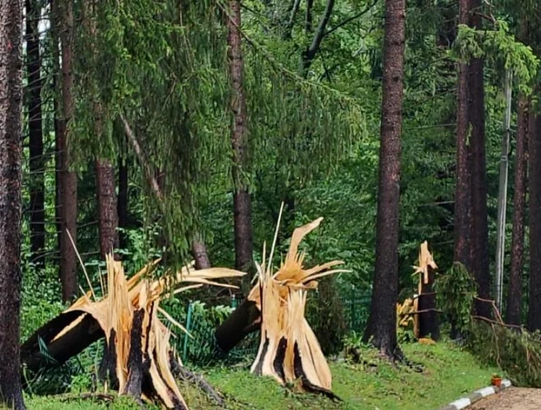 Impactul fenomenelor meteorologice severe asupra patrimoniului din Sinaia (© Ministerul Culturii)