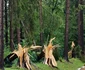 Impactul fenomenelor meteorologice severe asupra patrimoniului din Sinaia (© Ministerul Culturii)