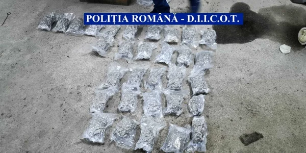 droguri