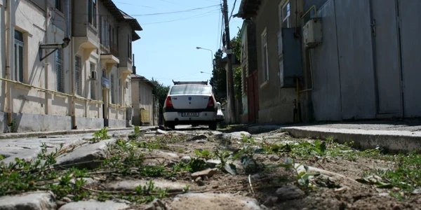 În mijlocul străzii Griviţa cresc buruiene