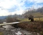 Satul Răscoala din Hunedoara Foto Daniel Guță ADEVĂRUL (11) jpg