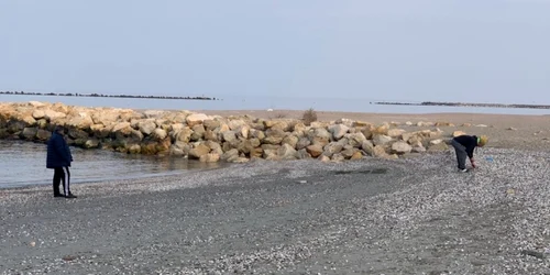 Carantinaţi pe plaja de la Flora Mamaia Sursa localnic