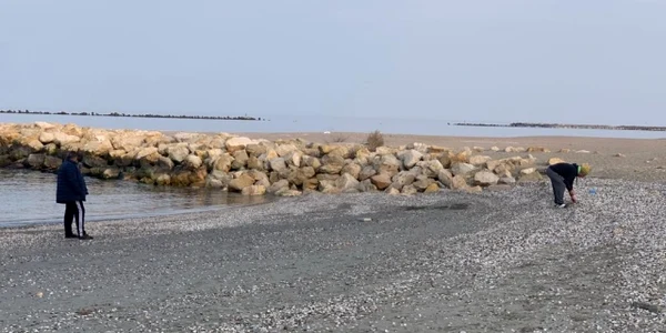 Carantinaţi pe plaja de la Flora Mamaia Sursa localnic