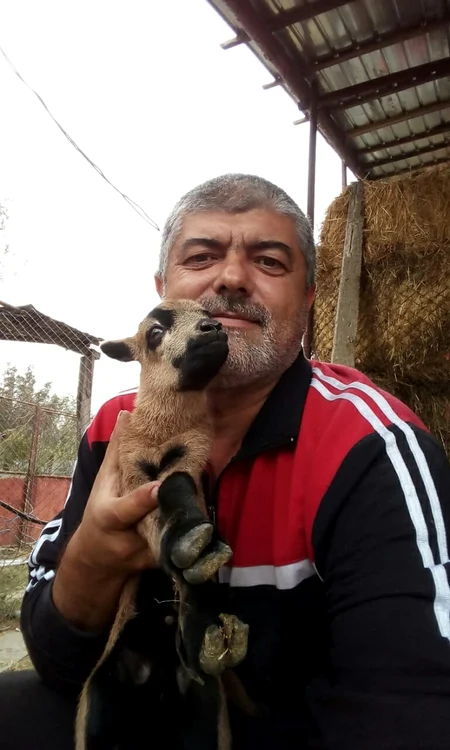 ferma de oi cameruneze din Mehedinţi FOTO Alexandra Georgescu