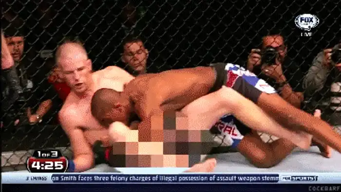 
    1. Doi luptători duc o luptă la sol, dar mimica lor dă de înţeles că s-au angajat într-un act de “iubire”foto: imgur.com / Via reddit.com  