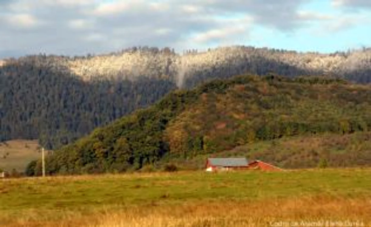 ntcodruarg