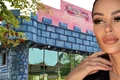 Banner Brigitte Pastramă
