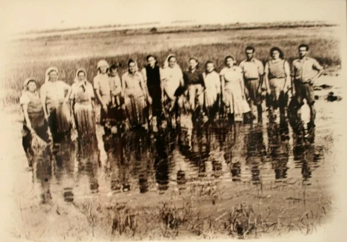 deportati romania baragan