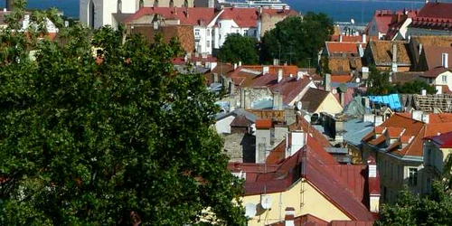 talinn foto cezar dumitru