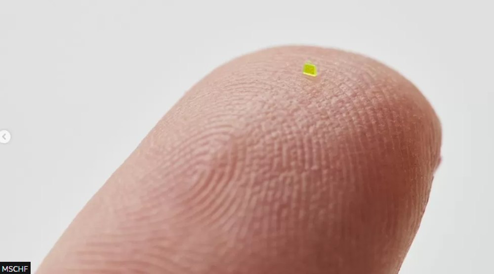 O geantă microscopică, „mai mică decât un grăunte de sare”, se vinde cu peste 60.000 de dolari