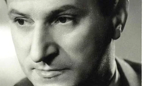 stefan mihailescu braila