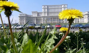 Între grădina de vis si gazonul de trotuar jpeg