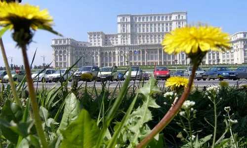 Între grădina de vis si gazonul de trotuar jpeg
